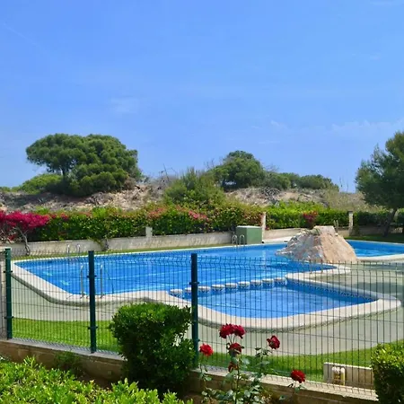 Amazing 50 M From The Appartement Torrevieja