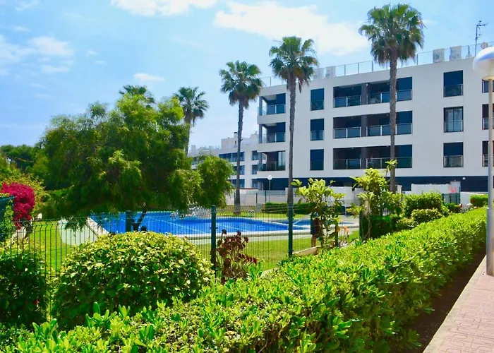 Amazing 50 M From The *