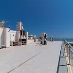 Amazing 50 M From The * Torrevieja