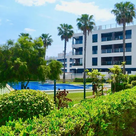 Amazing 50 M From The *