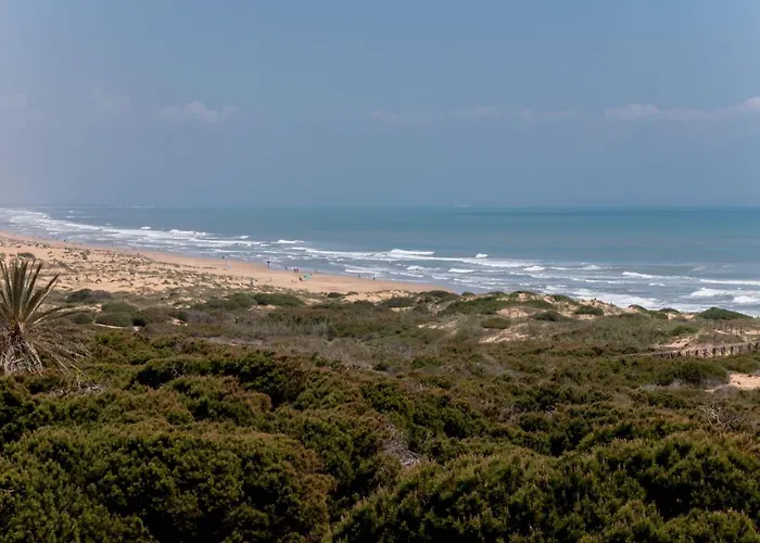 Amazing 50 M From The Apartment Torrevieja